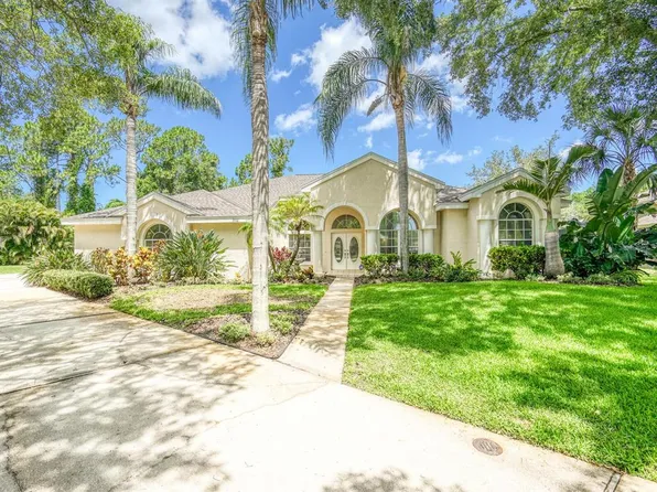 3910 Saywood Ct, Palm Harbor, FL 34685