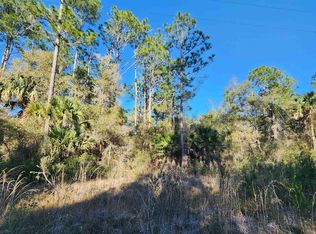 0 Longtree St, Georgetown, FL 32139