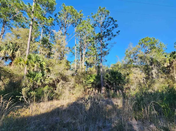 0 Longtree St, Georgetown, FL 32139