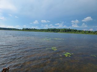 9414 N Shore Dr, Evart, MI