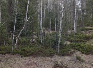 27 N. Eldorado Cir, Florissant, CO 80816