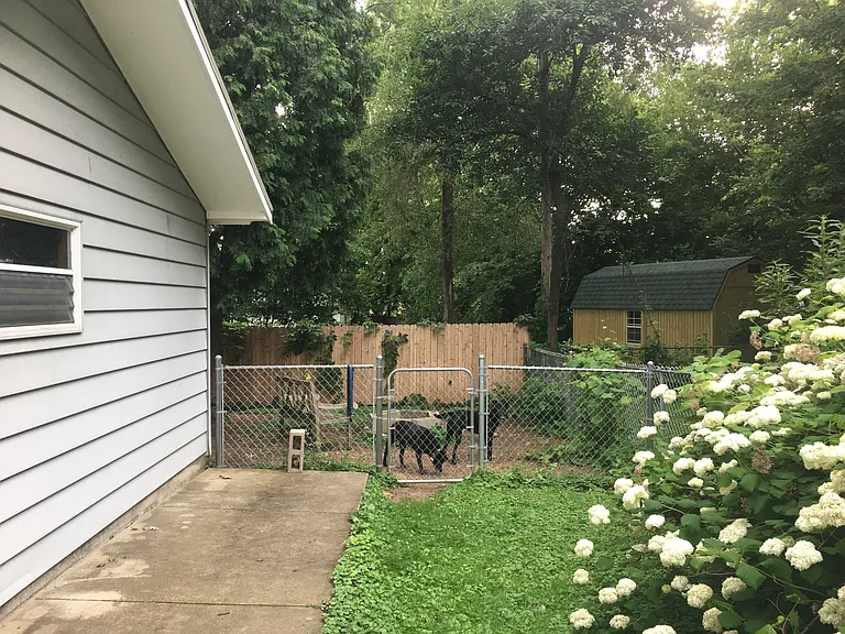 314 Dunning St — Photo 16