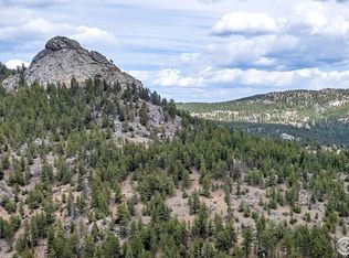 1904 County Road 68, Nederland, CO 80466