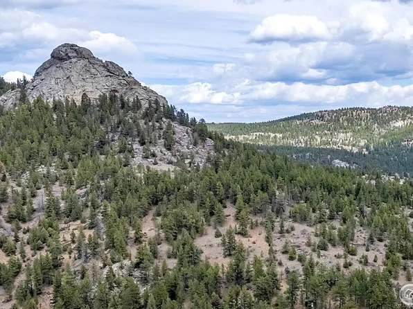 1904 County Road 68, Nederland, CO 80466