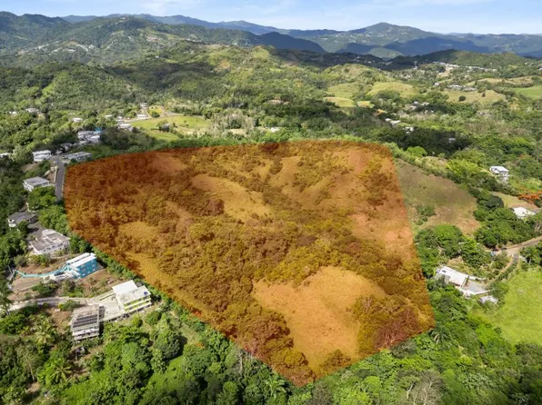 Carretera 788 Km 2.1 Bo Tomas De Castro I Sector #L, Caguas, PR 00725