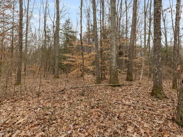 0 Gray Rd, White Bluff, TN 37187