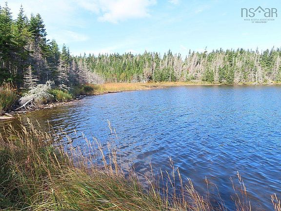 2nd image of 31 Belfry Lake Rd
