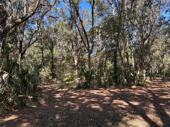 11660 NE 225TH STREET LOT 7-15, FORT MC COY, FL 32134