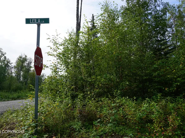 13950 E Leila Ln, Talkeetna, AK 99676