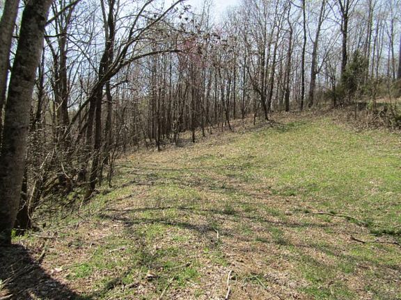 5th image of 24.82AC Hickory Ln Lot 11