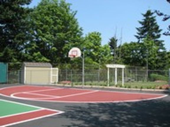 Basketball Court