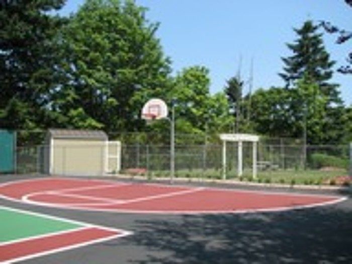 Basketball Court
