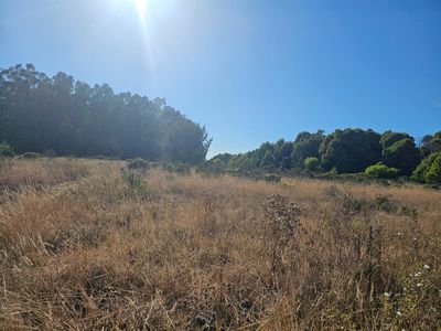 (Undisclosed Address), Half Moon Bay, CA, 94019