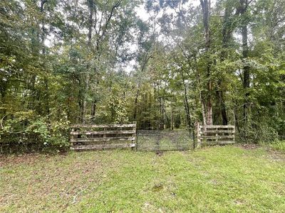 18668 NW 146th Ave, Williston, FL, 32696