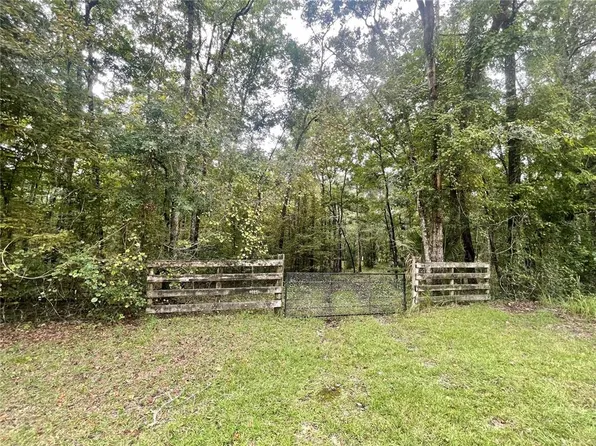 18668 NW 146th Ave, Williston, FL 32696