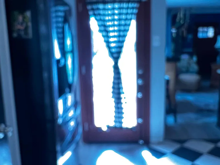 Kitchen door