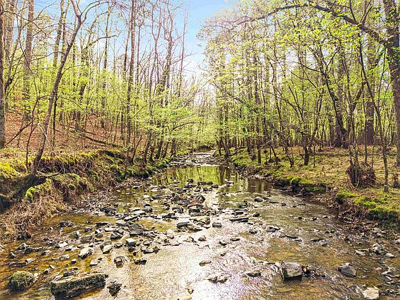 5th image of 198 Shelly Ln