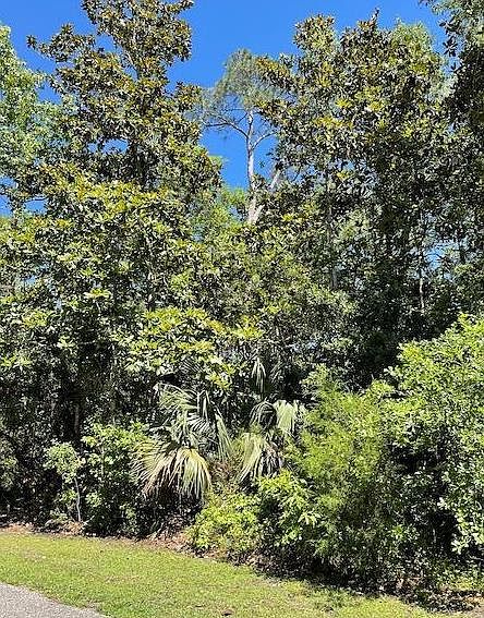 1st image of 135 Water Oaks Way