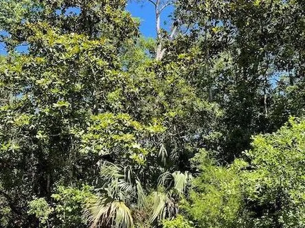 135 Water Oaks Way, Apalachicola, FL 32320
