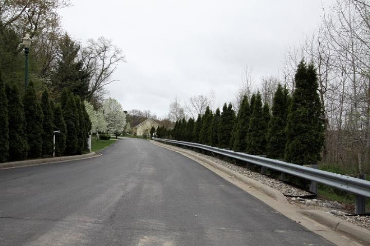 2nd image of 2319 View Ln #9