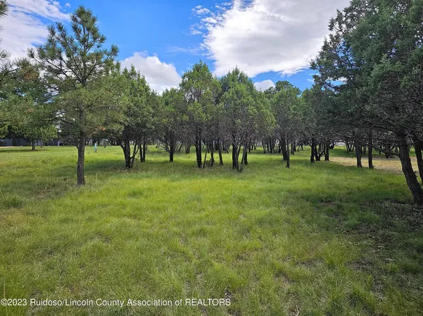 103 Woodridge Ct, Alto, NM 88312