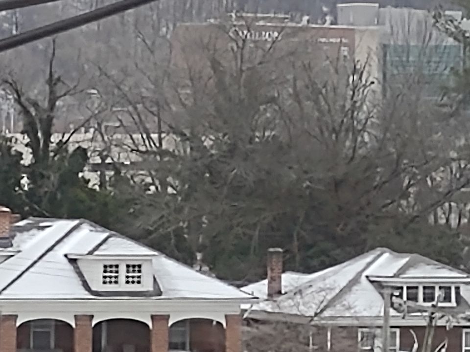 view of Carilion from BR window