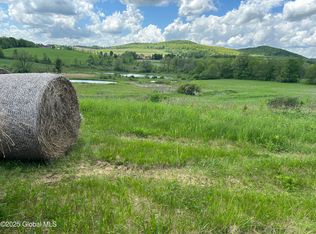 103 Franklin Bellinger Rd, Sharon Springs, NY 13459