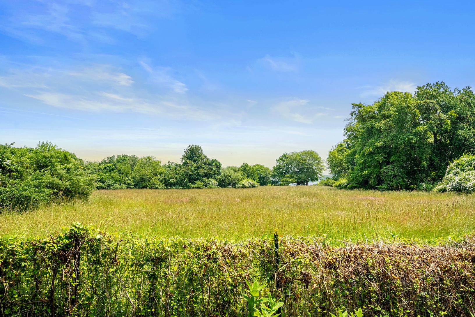 View over fields to Mill Pond