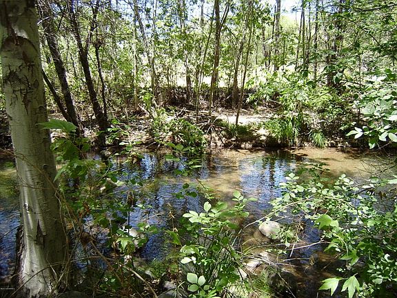 CREEK VIEW DRIVE 001