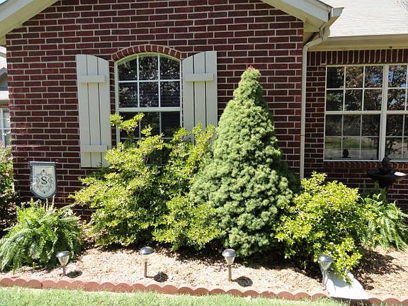 Professional, mature landscaping