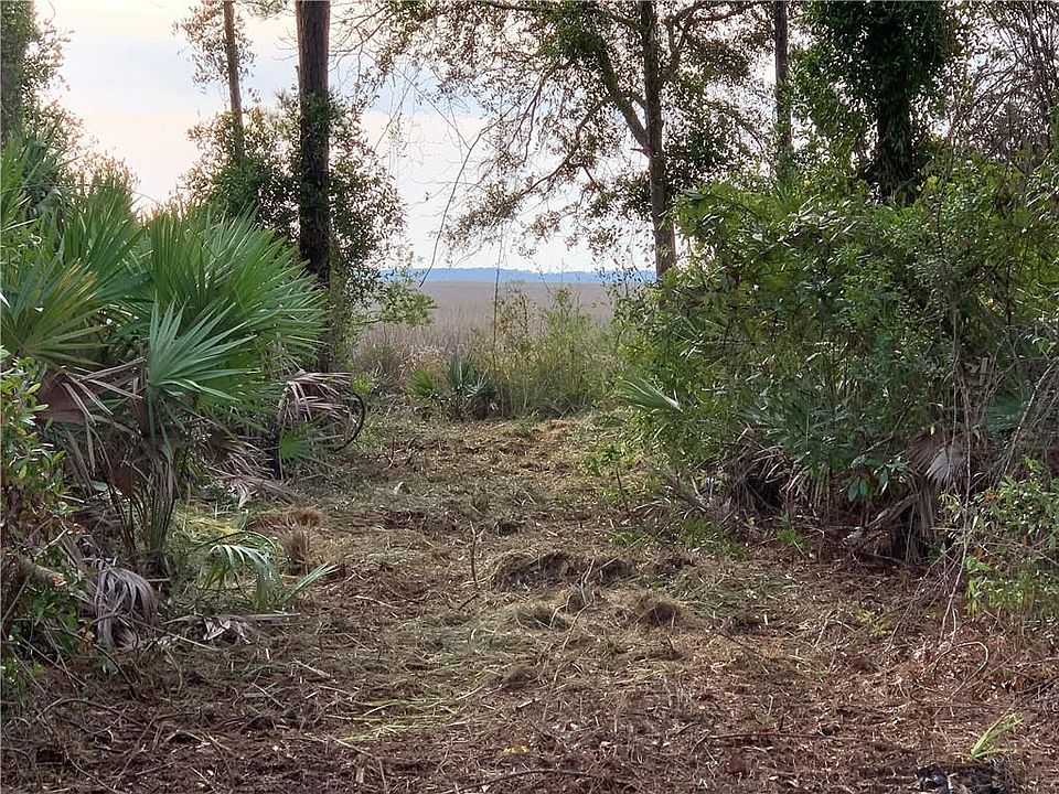 2nd image of 203 Palm Trc