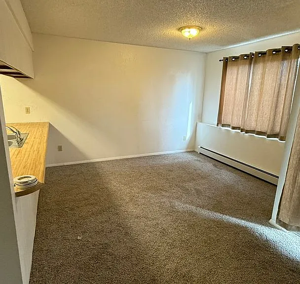 834 E Cedar Ct — Photo 4