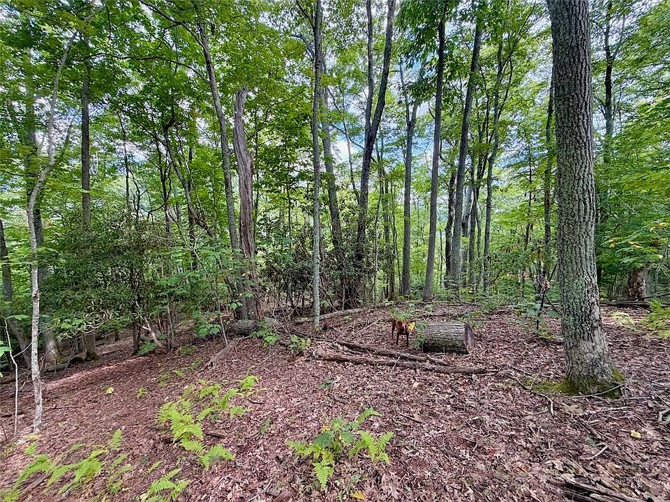 1st image of TBD Galax Lane