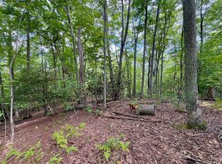 TBD Galax Lane, Banner Elk, NC 28604