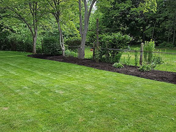 Backyard side garden