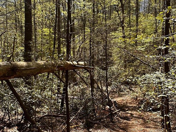 3rd image of 0 Mathis Branch Rd Lot 9