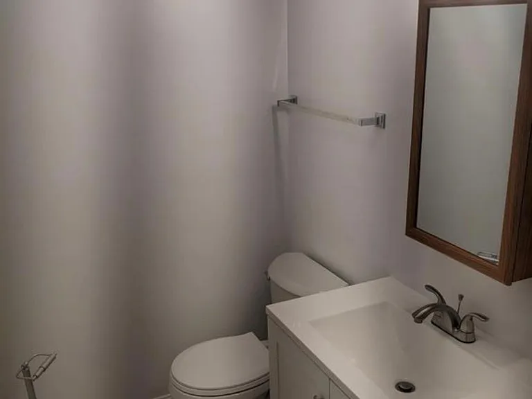 207 Stafford Mews Ln #BASEMENT — Photo 8