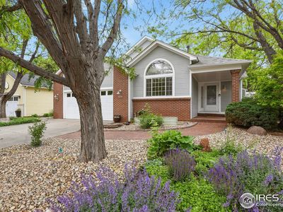 1279 Cressida Ct, Lafayette, CO, 80026