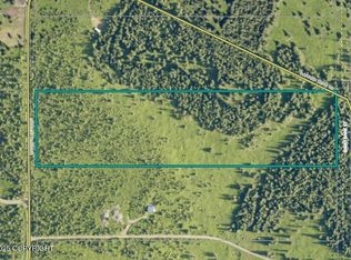 LOT 2 Hannah Rene Rd, Anchor Pt, AK 99556