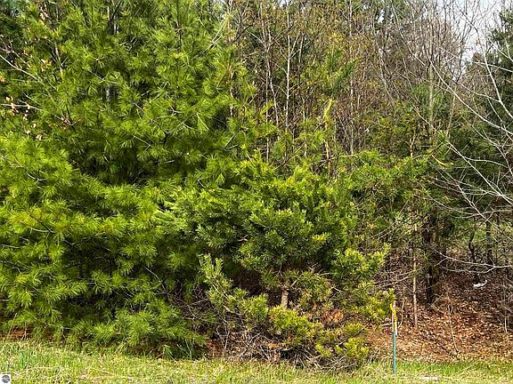 2nd image of LOT 19 Cushman Ct