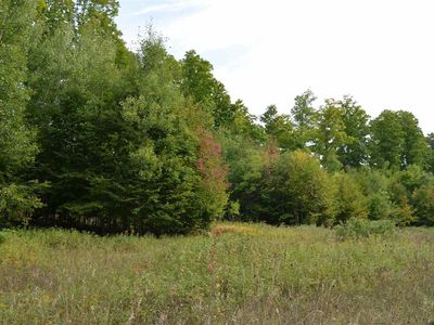 LOT 14 Aspen Ridge Ct, Boyne City, MI, 49712