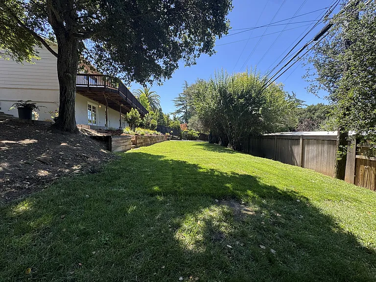 Nice lawn and pretty greenery