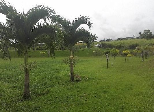 3rd image of 28-1096 Old Railroad Way Lot 11