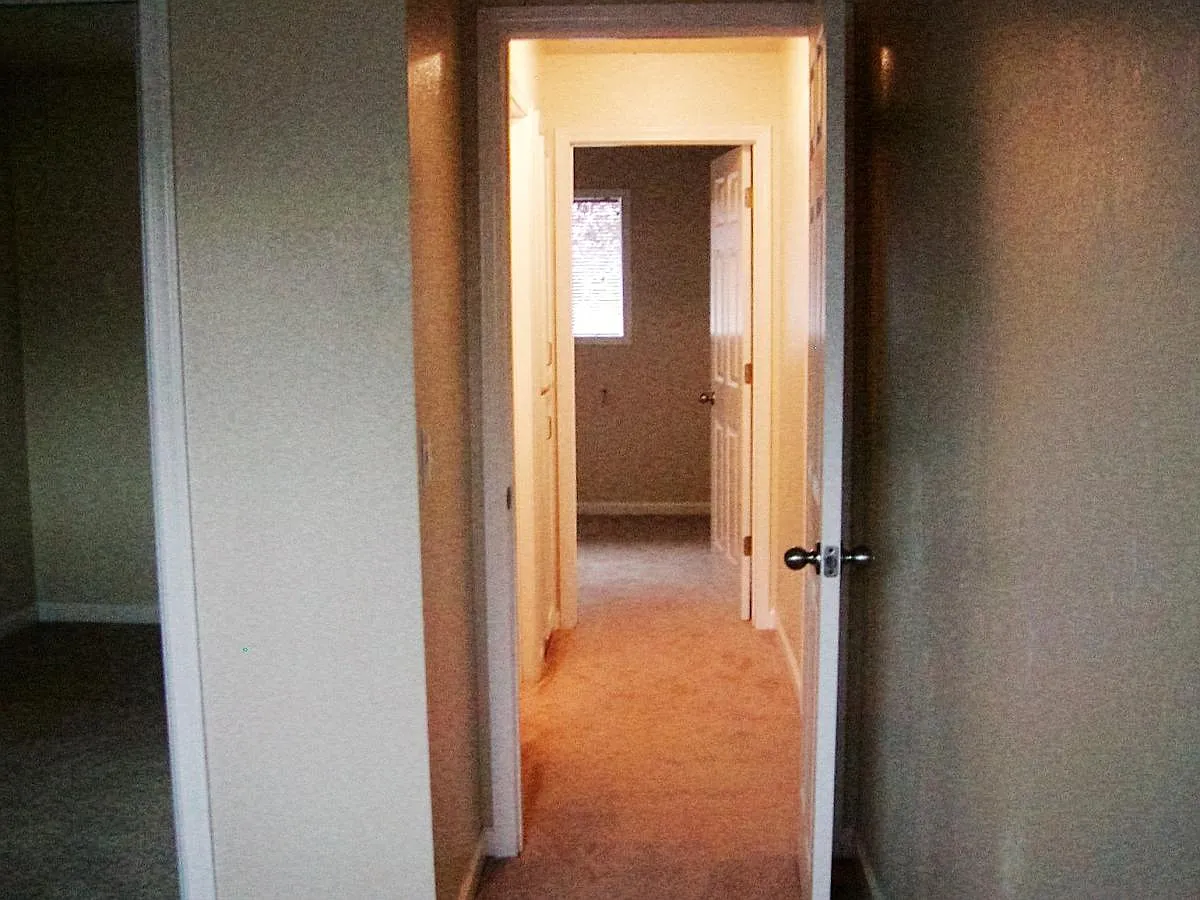 2 bed, 800 sqft, $1,750 — Photo 4