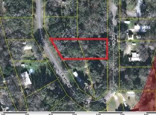 3603 County Road 405dw, Lake Panasoffkee, FL 33538