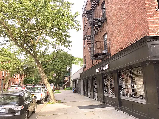 Rented by Rapid Realty Cobble Hill | media 34