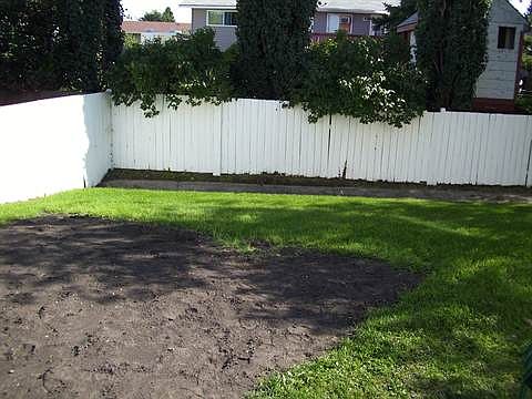 Garden area