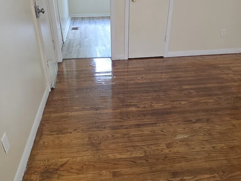 201 Maplewood Ave #3 — Photo 20