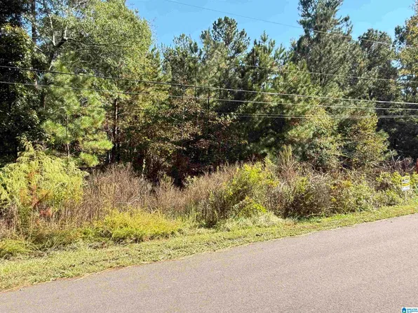 115 Parkwood Way #98, Odenville, AL 35120