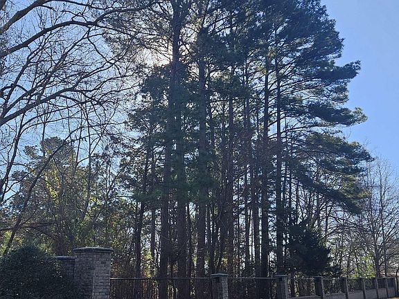 5th image of 13311 White Tail Dr